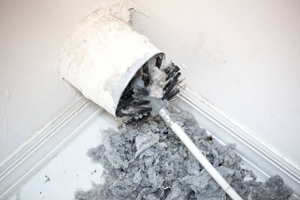 Best Air Duct Sanitizing Services  in Homewood, AL